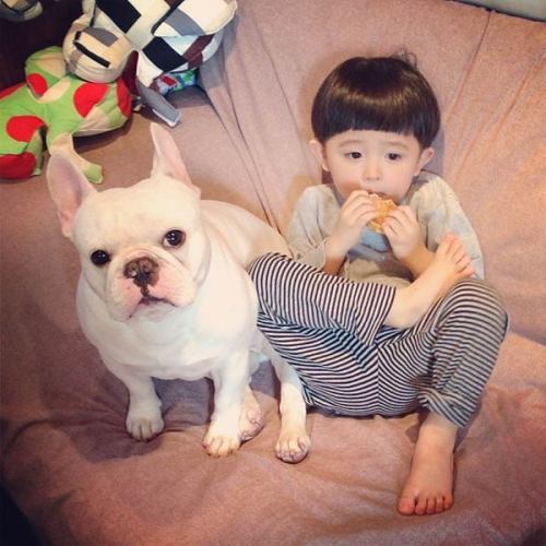 Cute Friendship Between Japanese Boy & His Bulldog