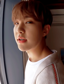 soft4hosh: carat’s viewpoint with hoshi aka the biggest flirt