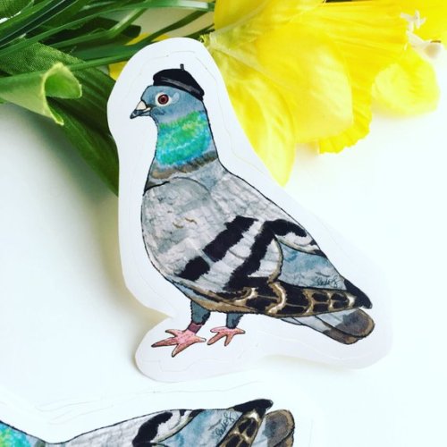 Fancy Pigeon Sticker //IndiaSpenceArt