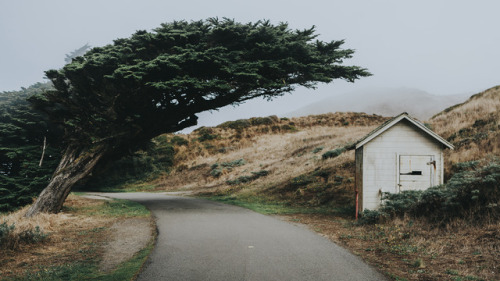 Point Reyes National Seashore, CaliforniaInstagram