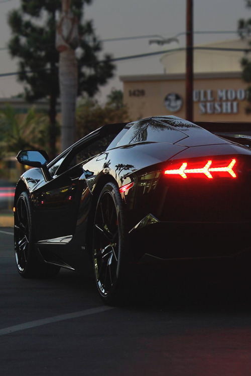 the-absolute-best-photography:
“Aventador Roadster
”