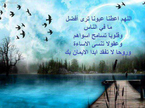 الصور الاسلامية .. - صفحة 47 Tumblr_mx3z9mElQk1suq0buo1_500