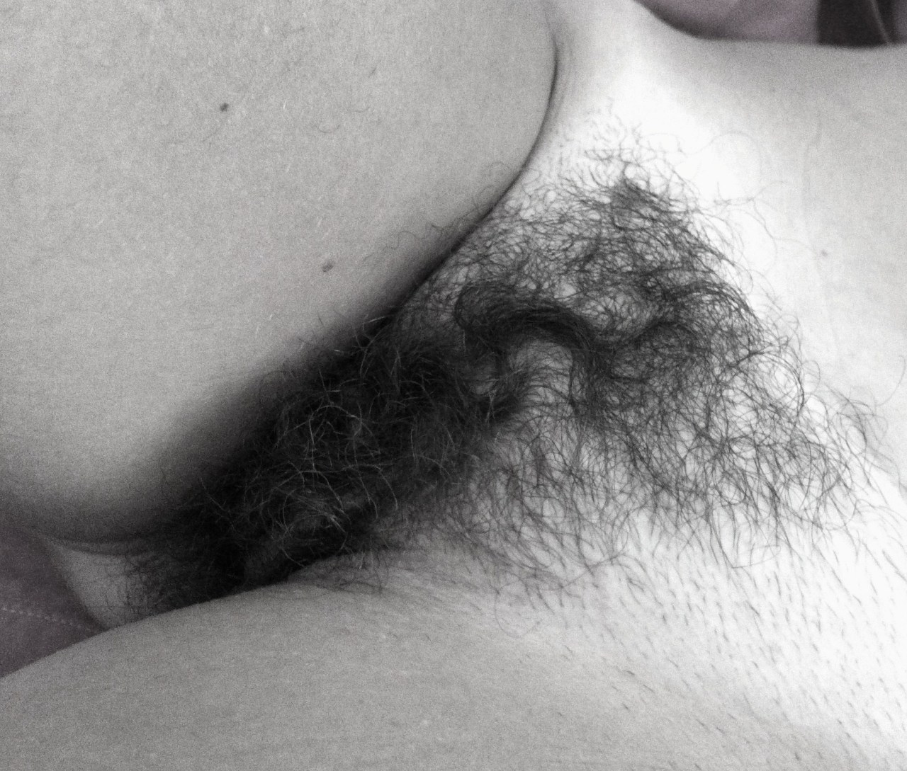 deepblupink:  Her Hairy Pussy In Black &amp; White