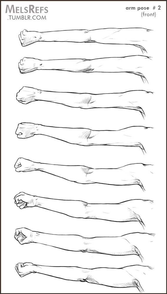 fucktonofanatomyreferences:  A coolio fuck-ton of female arm angle references. Credit