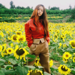 femaleidols:  krystal for marie claire (aug