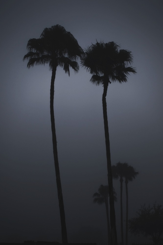 vistale:  Foggy night  Let&rsquo;s walk