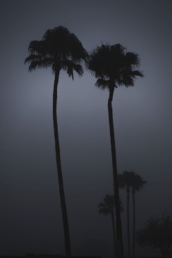 vistale:  Foggy night  Let’s walk