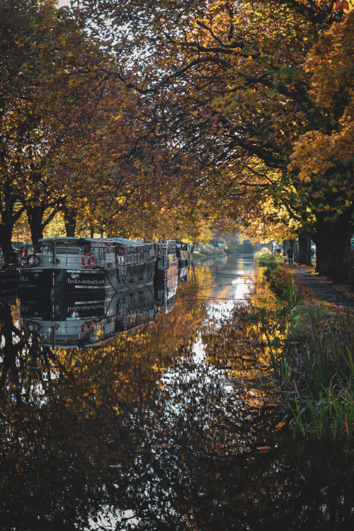 Canal Bank Walk