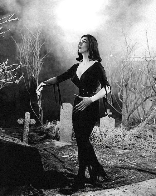 torontocrow:
“ Maila Nurmi in Plan 9 from Outer Space (1959)
”