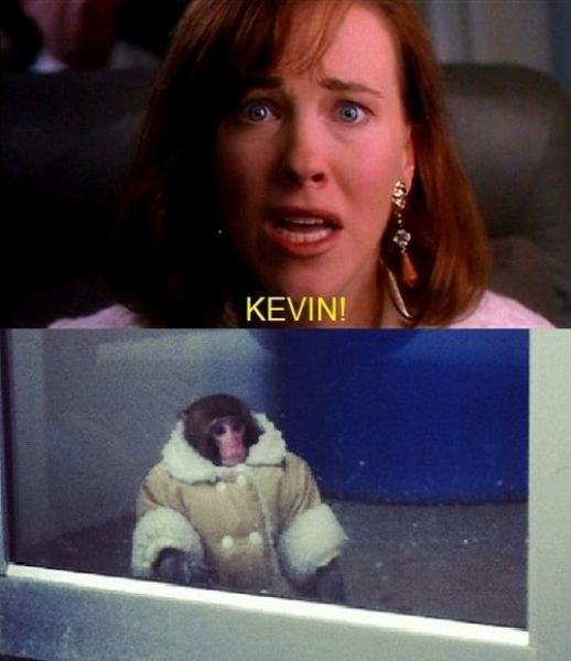 Kristen Wiig Daily