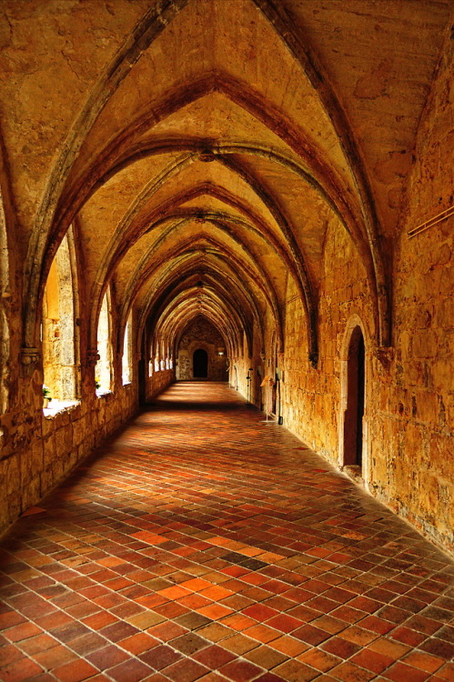 Hallowed paths.Cloisters at the Monastery Michaelstein in the Harz Mountains, 2017.