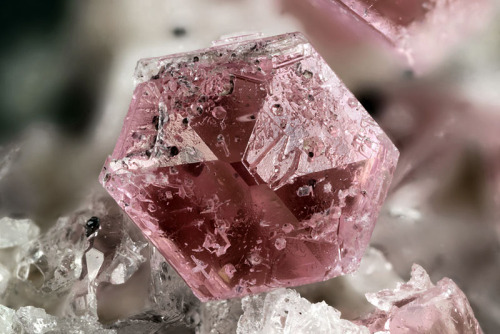 mineralists:Hexagonal pink crystals of Pezzottaite from Sakavalana mine, Madagascar