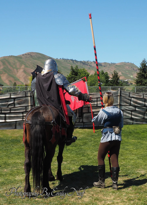 The Red Knight.Fun anecdote: My friend was wearing a red and black dress and when she approached the