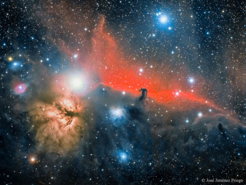 into-theuniverse:Horsehead Nebula // Barnard 33 (right) & Flame Nebula // NGC 2024 (left)