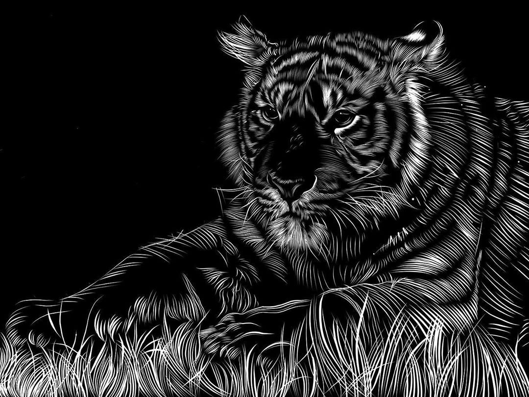 tiger tumblr hipster wallpaper