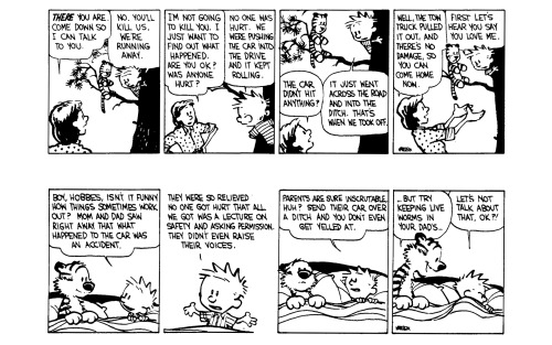 Calvin and Hobbes wreck the family car, Part 3. (Part 1, Part 2.)