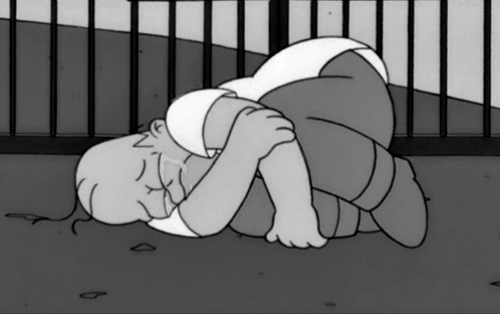 Sex cuando-te-vi-no-dude:  homero yo te amo:(me pictures