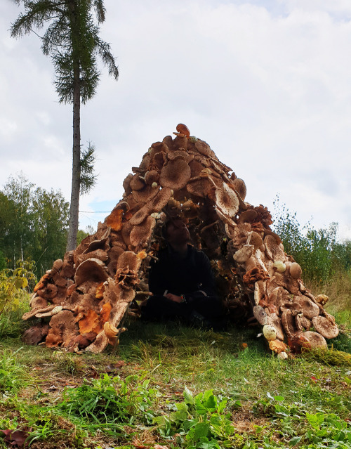 satsuti:keepingitneutral:‘Mushroom Hut,’ Sweden, 2021,Ulf Mejergren Architects NO WAY