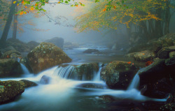 americasgreatoutdoors:  Another stunning shot of Great Smoky Mountains National Park during autumn. This photo is of the Little Pigeon River.Photo: Charles Wickham 