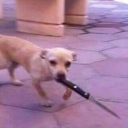 howling-slytherin-394:problematism:howling-slytherin-394:problematism:i started a collectionOkay, I 