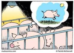 veganzeus:  Whenever I see this cartoon, I think about how desperately animals want freedom.. I think about what it must feel like to be trapped and hoping someone, anyone, will save you and set you free… I think about the animal lives that were already