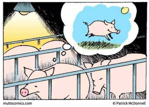 veganzeus:  Whenever I see this cartoon, porn pictures