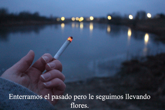 chica-s-u-i-c-i-d-a:  — 