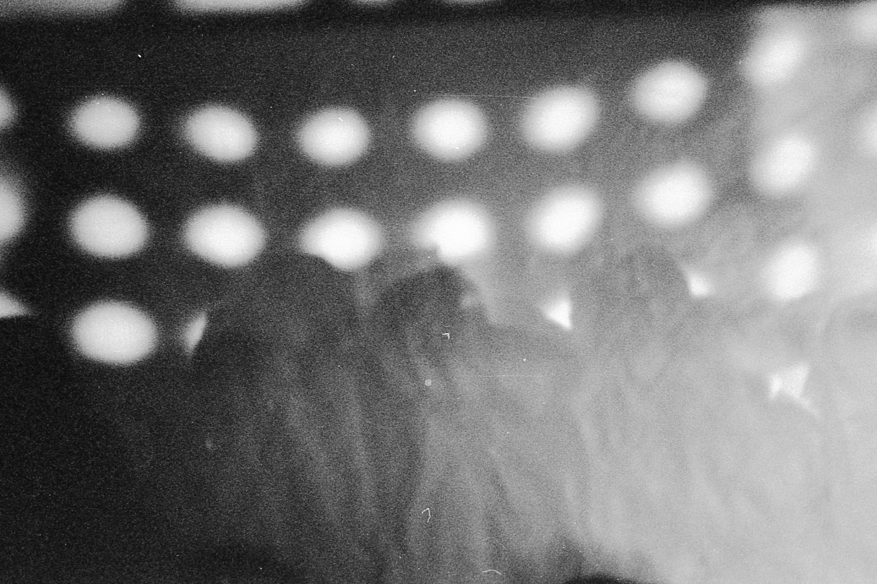 ay-mija:from a dance party