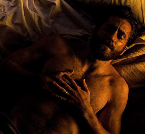 Jake Gyllenhaal In Nocturnal Animals (2016)