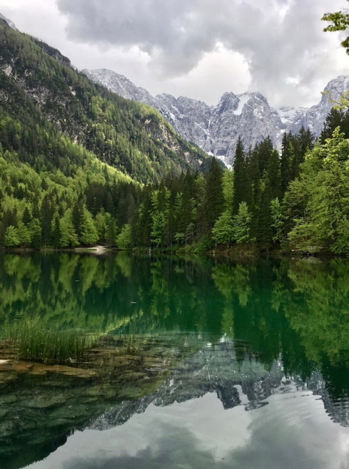 Laghi di Fusine / Italy (by Rossana).