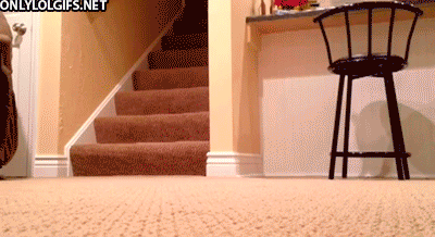 The Best of Tumblr Blog - 1000notes.com
