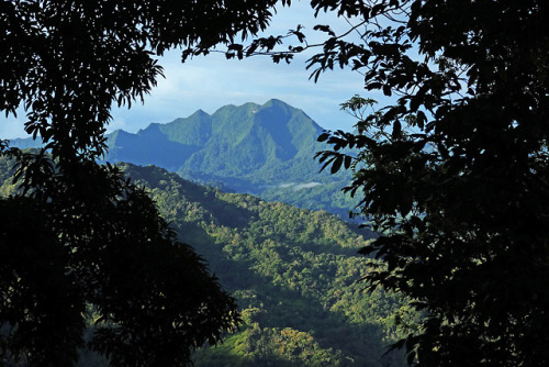 Panoramic view from Old French Road, Forestiere Trail by Horst Vogel