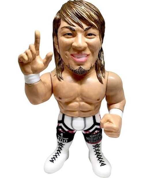 16D COLLECTION 006 NEW JAPAN PRO-WRESTLING: HIROSHI TANAHASHI16 directions