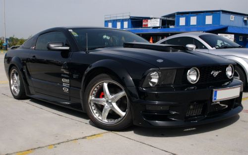 Ford mustang girls