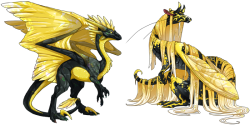 God i need to stopMore scrys of more of my babs. Still super expensive and IDK which dragons I’d cho