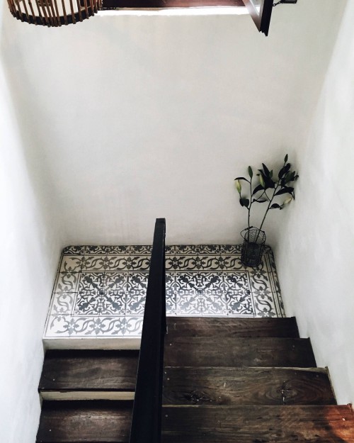 wildisherfavoritecolor:The Color Wild