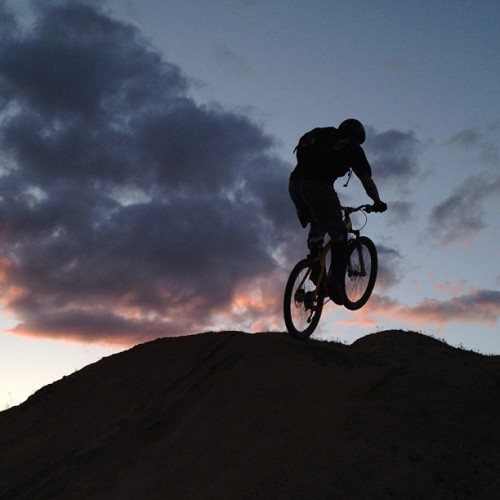 splatdoctor: Reaching for the sky. #mtb #mountainbiking #hartpark #mrtoads (at Hart Park)