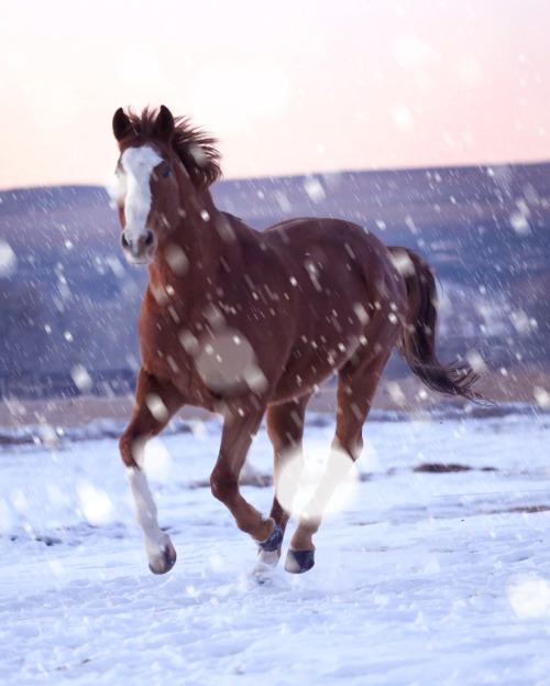 sunset snow