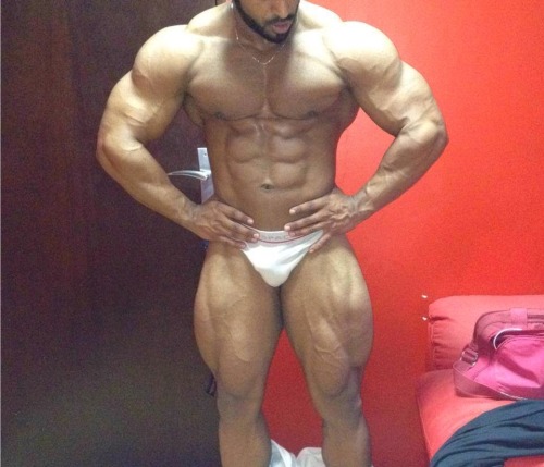 justmuscle77:Amer Majid. Holy crap he’s gorgeous!  I know I’ve said it once but I’ll say it again; for what ever reason to my when a man like Amer has thick legs like those they are only enhanced by him wearing briefs, posers, small shorts,