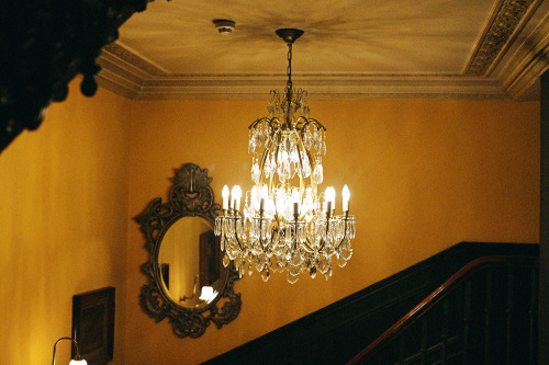Chandelier and golden walls, The Gore. 