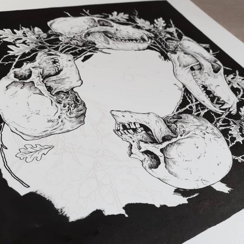 Man/ Wolf WIP part III #illustration #brushandink #inking #commission #blackmetal #skull #art #artis