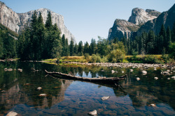 samelkinsphoto:  Yosemite National Park