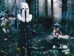 Miumiugardens:spellbound By Steven Meisel