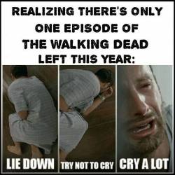 Fuck Yeah Walking Dead Memes
