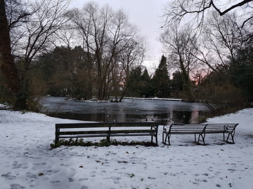 “Was a long and dark DecemberFrom the rooftops, I rememberThere was snow… white snow.” 