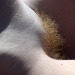 xpirxx: