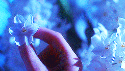 bishojosailorsenshi:  faerestsnow-deactivated20140129: &ldquo;Can love really
