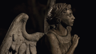 pond-in-the-pandorica:  Don’t blink. Blink and you’re dead. They are fast. Faster