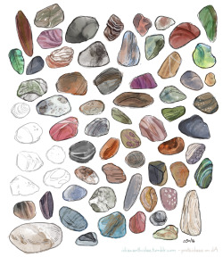 idiacanthidae:   Here’s a handful of pebbles
