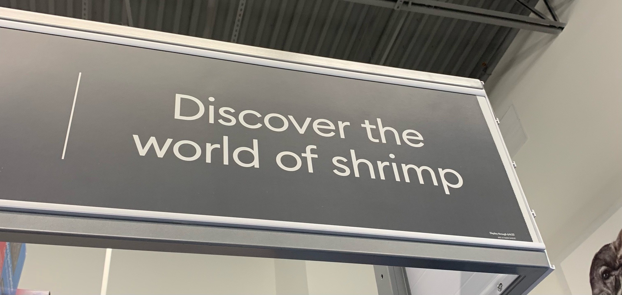 rotking:darksteel-relic:rotking:scarie-carrie:rotking:Can I eat the shrimp….NOCan